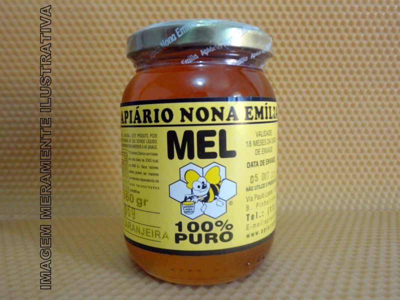 Mel de Laranjeira - 340g